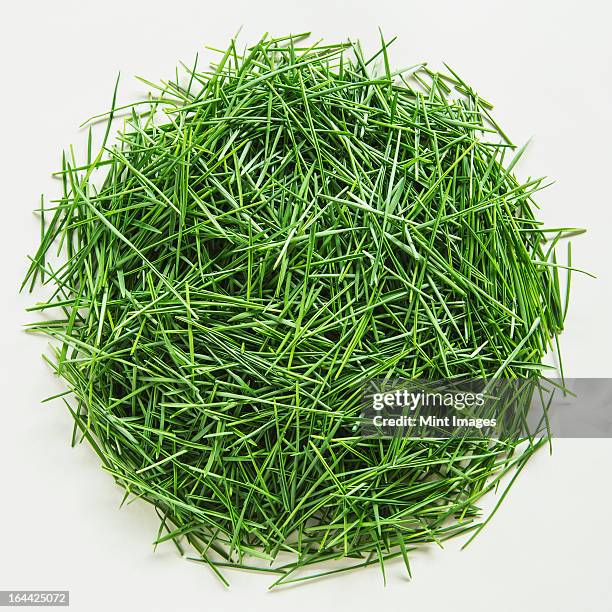 a pile of organic wheatgrass on a white background - wheatgrass stock pictures, royalty-free photos & images