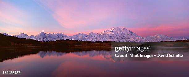 sunset, mount mckinley in denali national park, alaska reflected in reflection pond. - alaska mountain range stock pictures, royalty-free photos & images