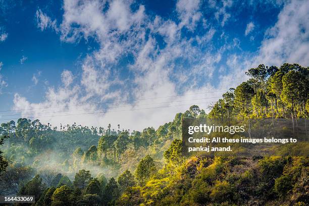 Rewari Vector 694 Rewari Stock Photos, High-Res Pictures, and Images - Getty Images