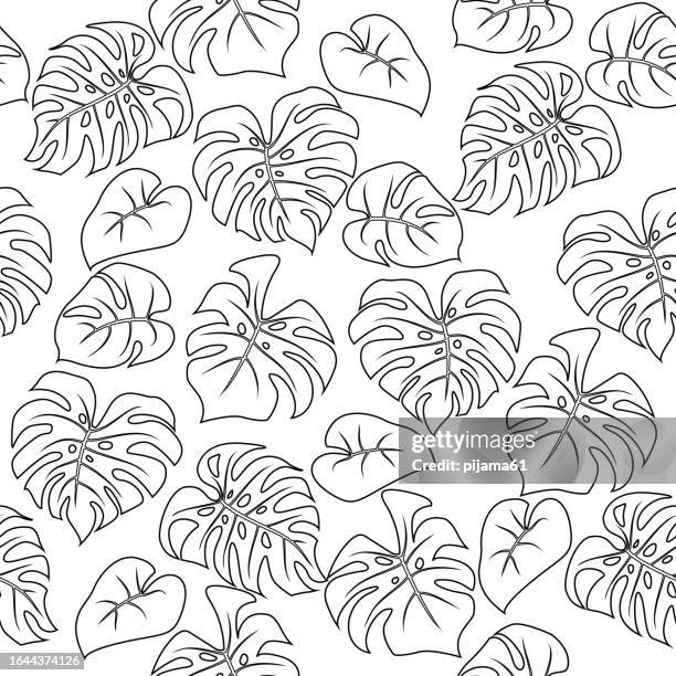 monstera leaf seamless pattern. vector monstera doodle pattern - foliate pattern stock illustrations