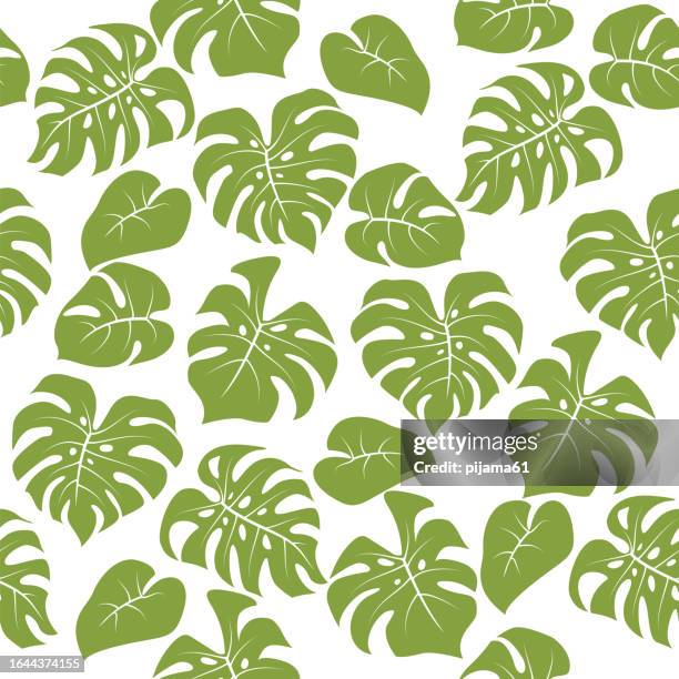 ilustrações de stock, clip art, desenhos animados e ícones de monstera leaves tropical seamless pattern isolated on white background. - estampa de folha