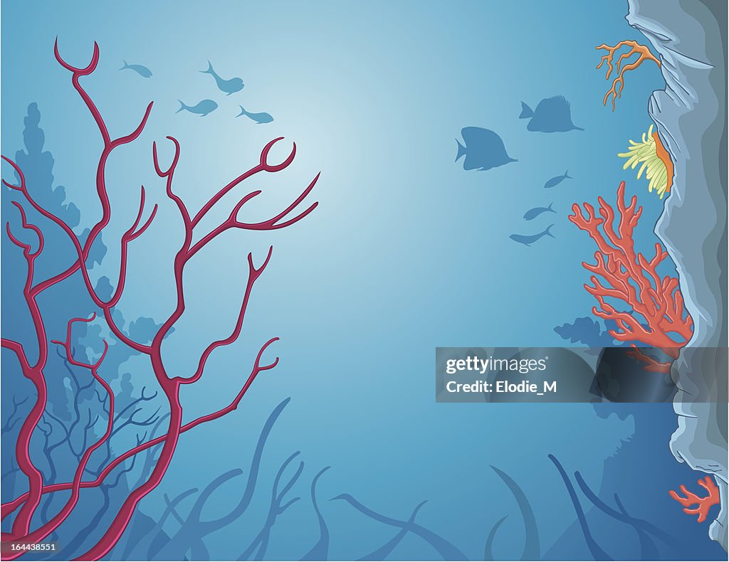 The depths of the sea