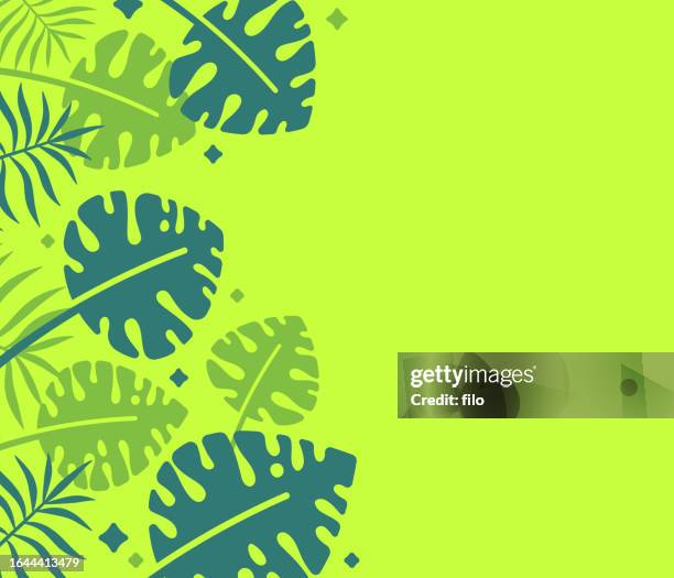 tropical jungle plants background growth - overgrown forest stock illustrations