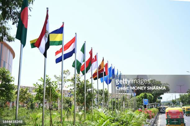 Flags of participating countries are pictured near the G20 venue ahead of its commencement in New Delhi on September 4, 2023.