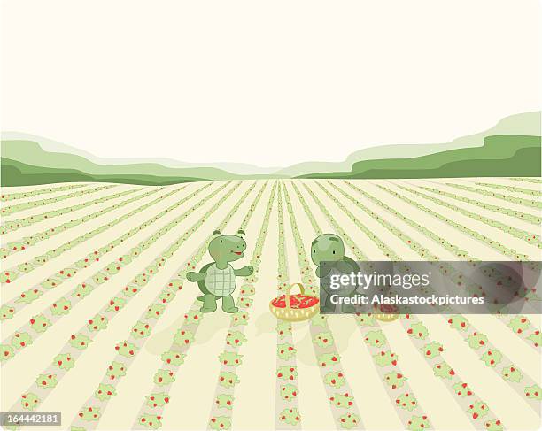 two turtles (poster) - strawberry field stock illustrations