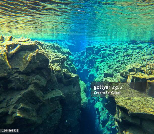 silfra fissure - plate tectonics stock pictures, royalty-free photos & images