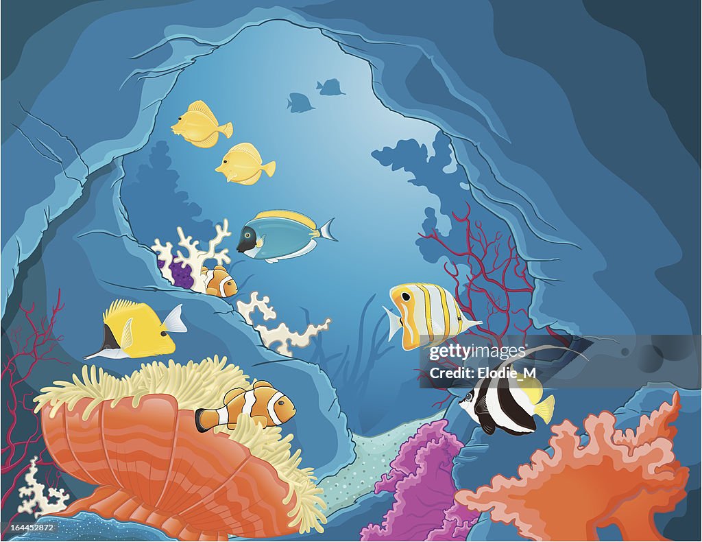 Underwater Grotto / Grotte sous-marine