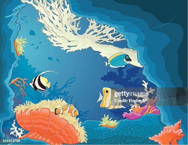 the sea and his tropical fishes - powder blue surgeonfish stock illustrations