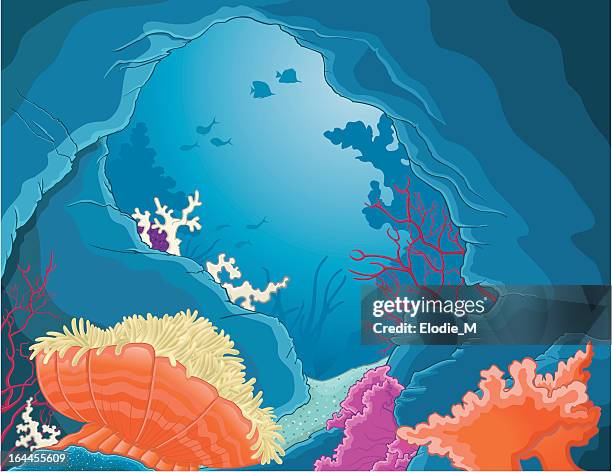 deep sea grotto / grotte sous-marine - butterflyfish stock illustrations