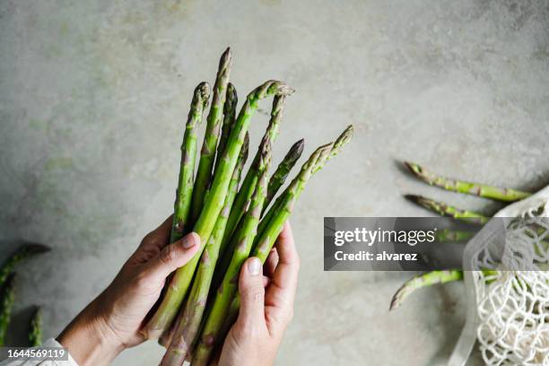 nahaufnahme einer frau, die frischen spargel hält - spargel stock-fotos und bilder