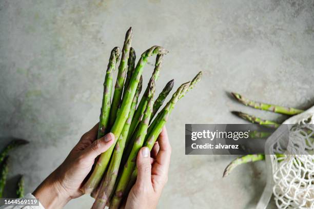 close-up of a woman hands holding fresh asparagus - asparagus stock pictures, royalty-free photos & images