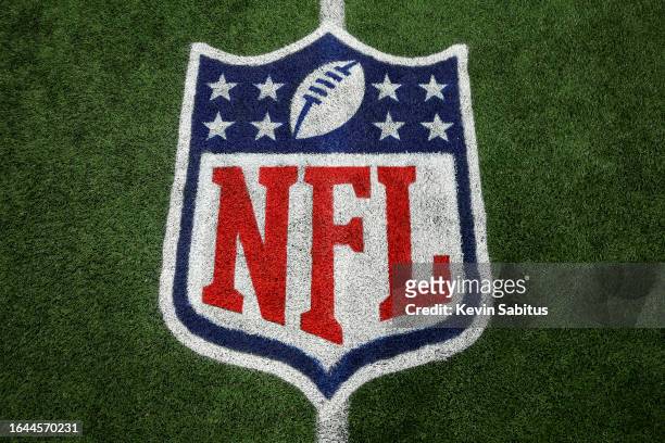 Detail shot of the NFL shield logo painted on the field prior to an NFL preseason football game between the Atlanta Falcons and the Pittsburgh...