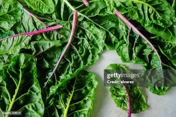 fresh organic chard on table - chard stock pictures, royalty-free photos & images