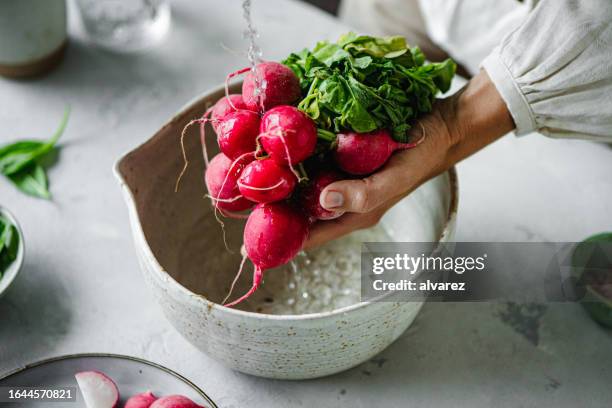 close-up of woman hands washing fresh vegetable over kitchen table. - radijs stockfoto's en -beelden
