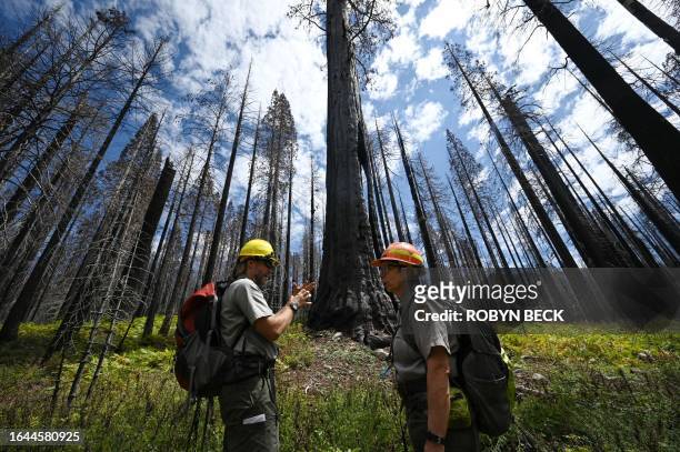 Dr. Christy Brigham , Chief of Resources Management and Science for Sequoia & Kings Canyon National Parks, and Restoration Ecologist Andrew Bishop,...