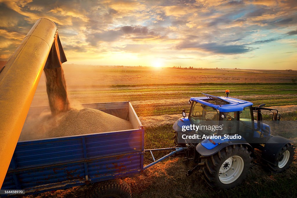 Harvest