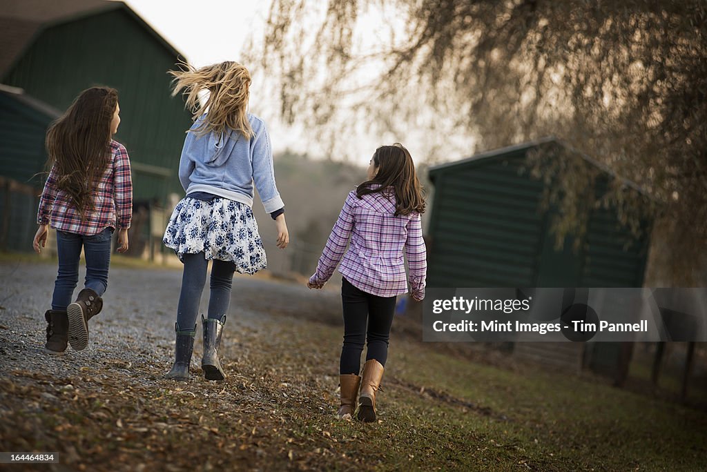 Three children walking along a path on an organic farm.
