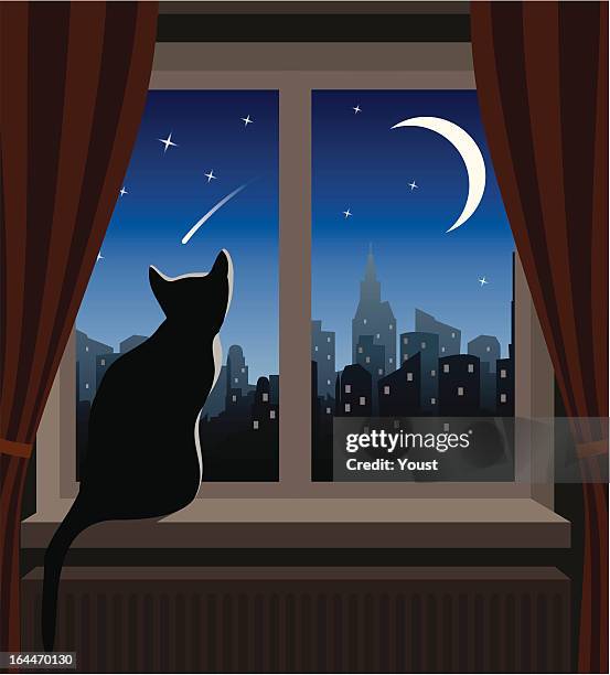 cat looking at shooting star - looking through window stock illustrations