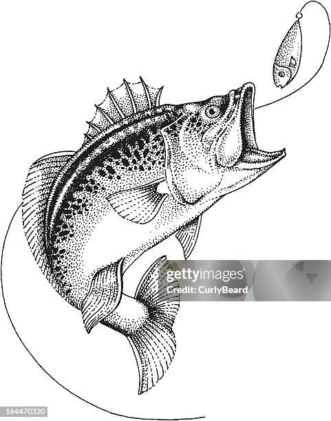 ilustrações de stock, clip art, desenhos animados e ícones de pesca com isco - anzol