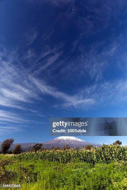 mt kilimanjaro and moon - in the morning - kilimanjaro stockfoto's en -beelden