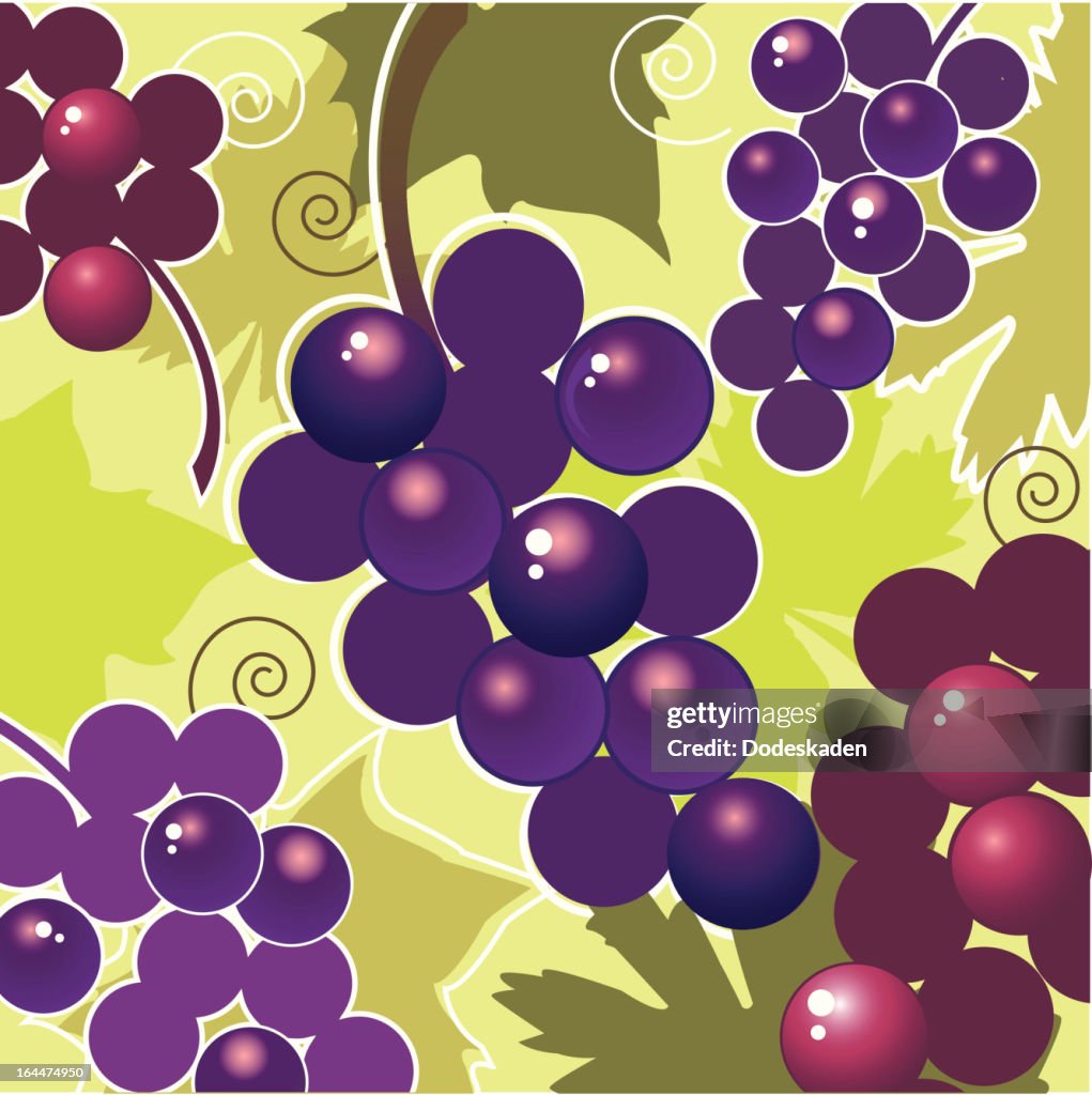 Fresh Taste of Grapes