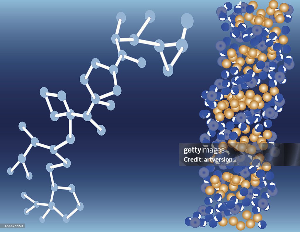 Double Helix