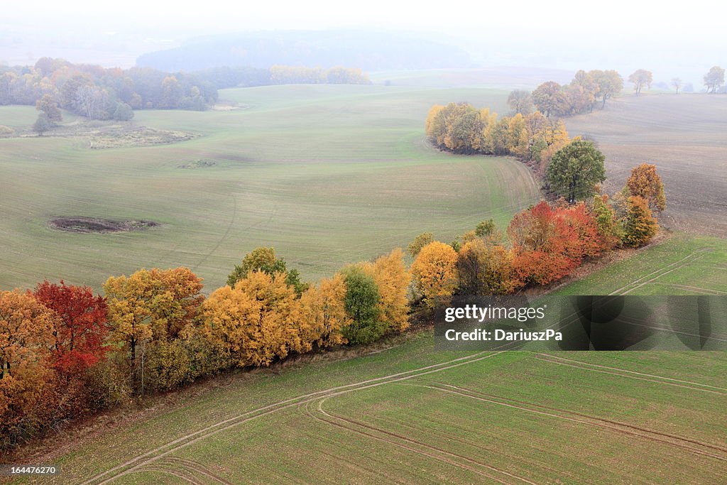 Aerial Foto von Herbst