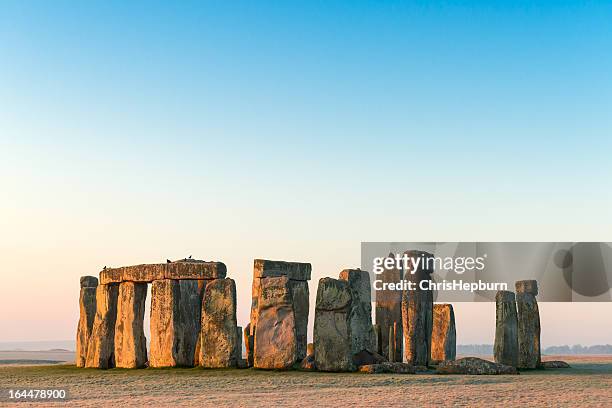 stonehenge, planície de salisbury, wiltshire - wiltshire imagens e fotografias de stock