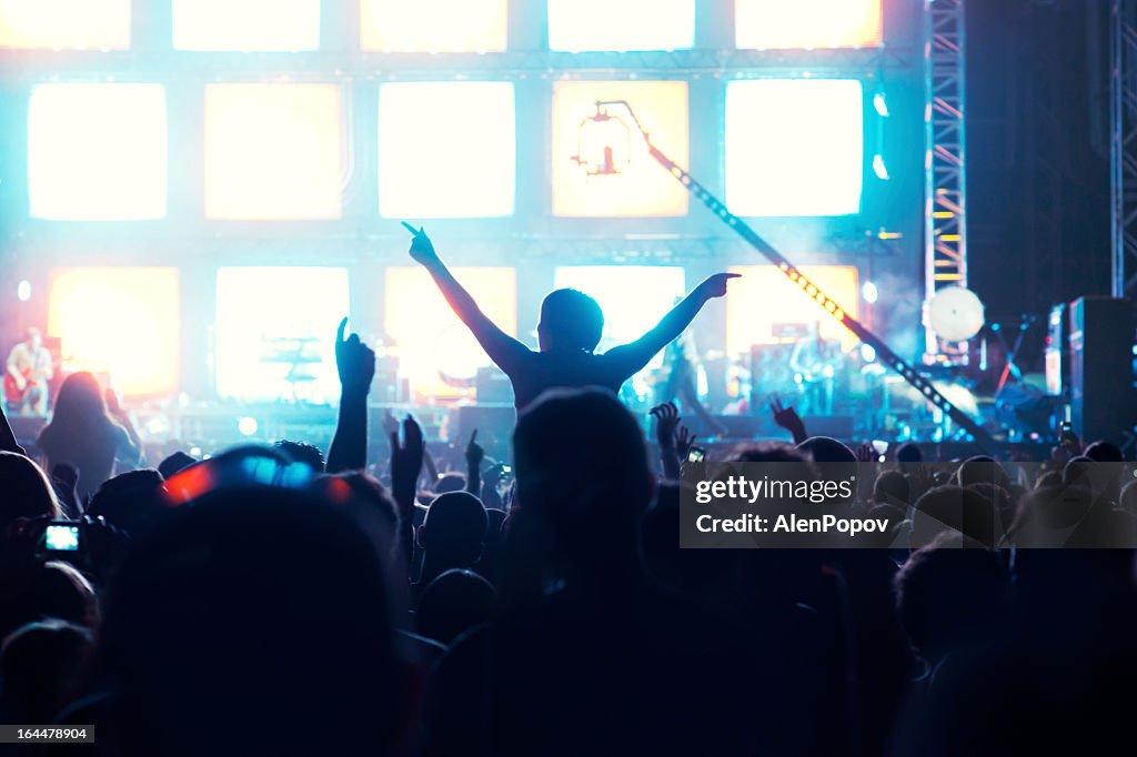 Concert crowd