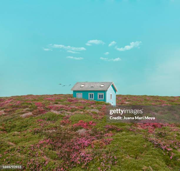 blue house in a field with pink flowers - galicia stock pictures, royalty-free photos & images