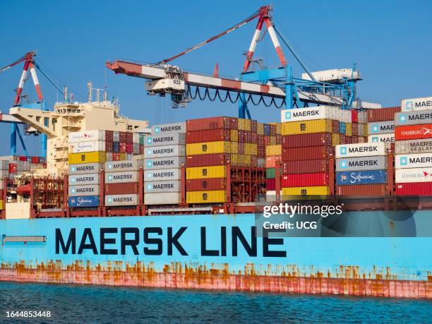 Giant gantry cranes and off loading freighter in Haifa container port, Israel.