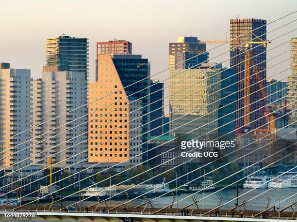 The beautiful Erasmus Bridge of Rotterdam, the Netherlands.