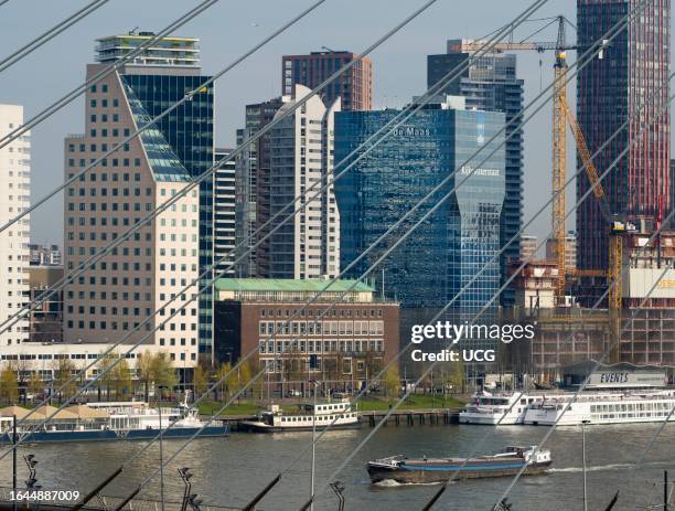 The beautiful Erasmus Bridge of Rotterdam, the Netherlands.