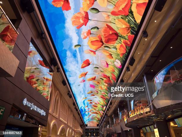 Glitzy shopping arcade and video ceiling of a ocean liner cruising the North Sea.