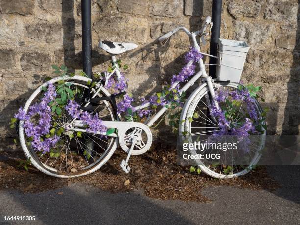Floral bike on Headington Hill, Oxford.