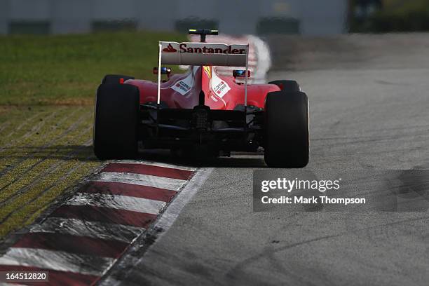 Felipe Massa of Brazil and Ferrari drives during the Malaysian Formula One Grand Prix at the Sepang Circuit on March 24, 2013 in Kuala Lumpur,...