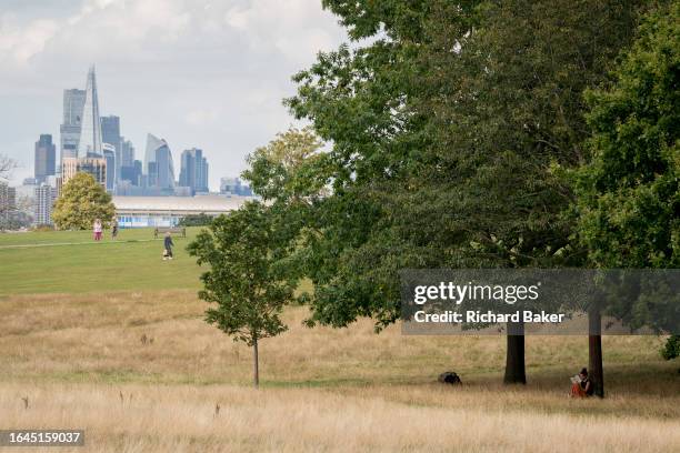 With the city seen in the distance, a woman reads a book in long grass under trees in Brockwell Park, a public green space in Herne Hill in South...