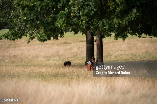 Woman reads a book in long grass under trees in Brockwell Park, a public green space in Herne Hill in South London, on 1st September 2023, in London,...