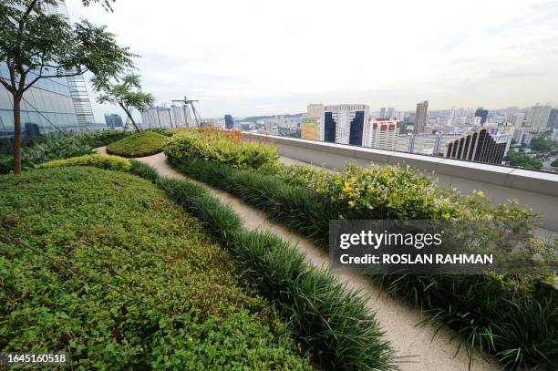 View of the garden at One George Street, an office tower primarily housing multinational firms in Singapore on May 14, 2009. When Albert Quek first...