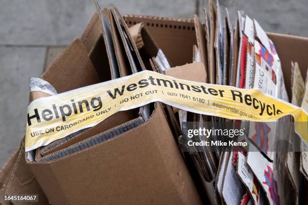 August Collert 99,365 Best Collection Stock Photos, High-Res Pictures, and Images ...