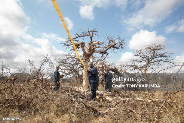 Environment technicians gather bio data from natural vegetation on a sample plot being quantified for carbon sequestration at Kasigau wildlife...