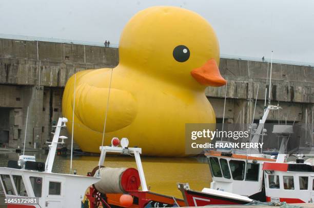 "Canard de bain", un canard gonflable de l'artiste Florentijn Hofman en PVC jaune, haut de 25 mètres et large de 32, a été gonflé, le 07 juillet 2007...