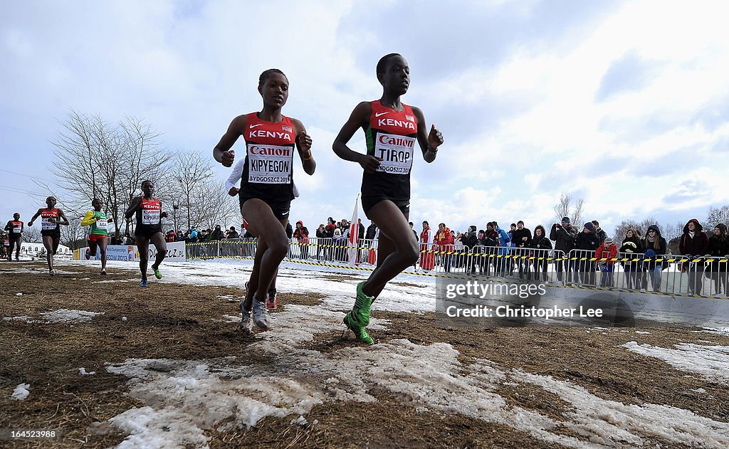 40th IAAF World Cross County Championship 2013