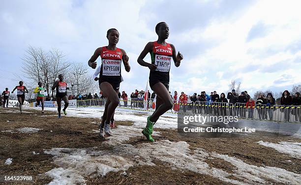 Faith Chepngetich Kipyegon and Agnes Jebet Tirop of Kenya lead the Junior Womens Race during the 40th IAAF World Cross Country Championship 2013 on...