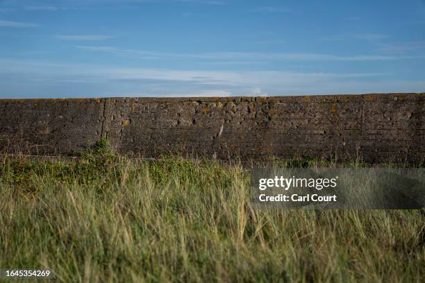 Bullet holes where prisoners were executed pierce parts of Longis anti-tank wall, a 6-meter tall concrete wall built by forced labour under German...