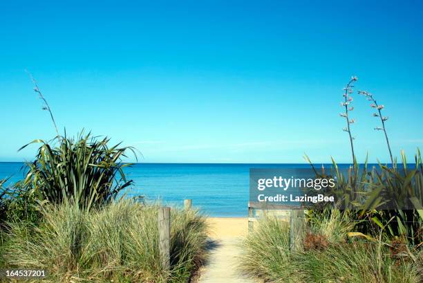 nz flax in bloom, tussock, sea and sand - abel tasman national park stock pictures, royalty-free photos & images