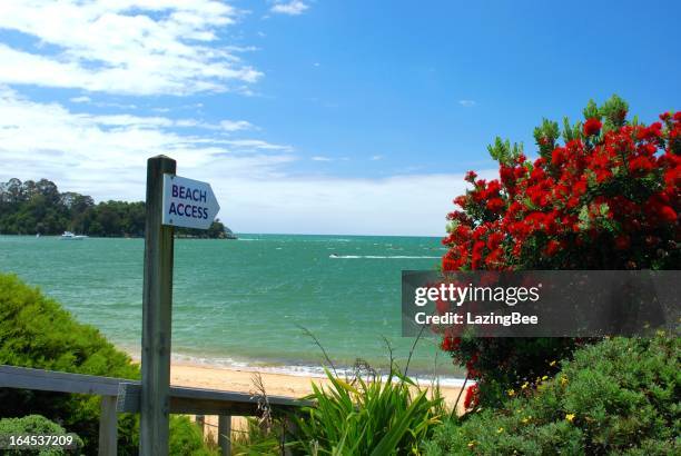 der zugang zum strand am kaiteriteri, sommer - kaiteriteri stock-fotos und bilder