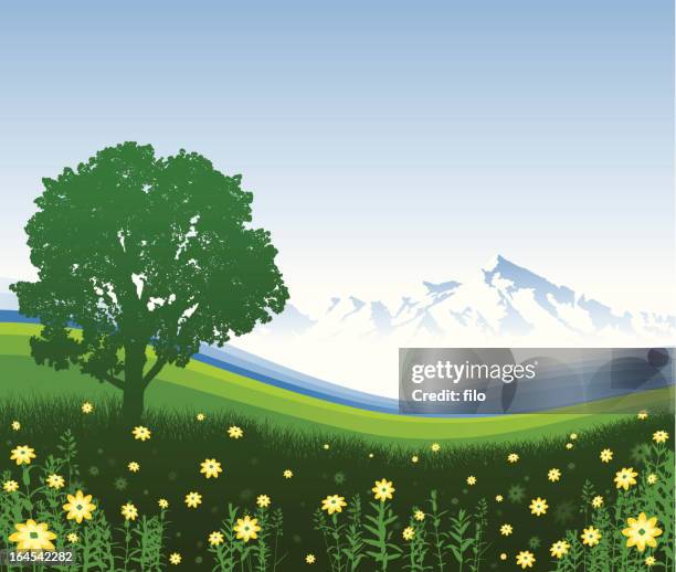 meadow mountain - rolling landscape stock-grafiken, -clipart, -cartoons und -symbole