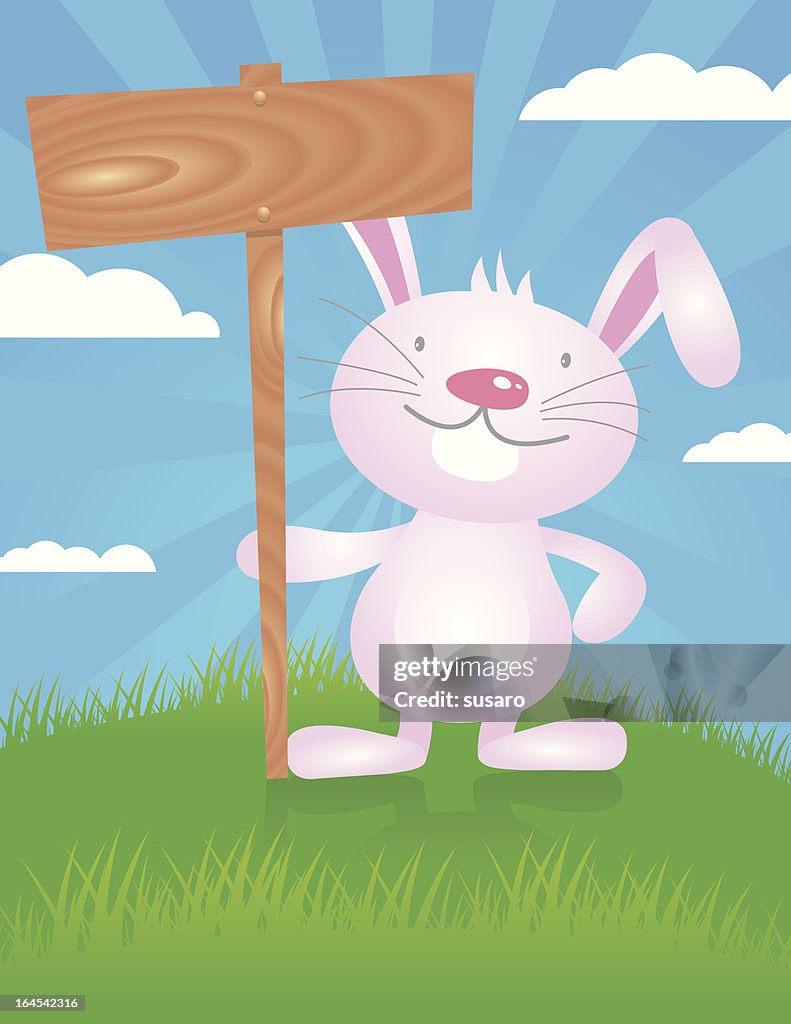 Rabbit With Wooden Sign High-Res Vector Graphic - Getty Images