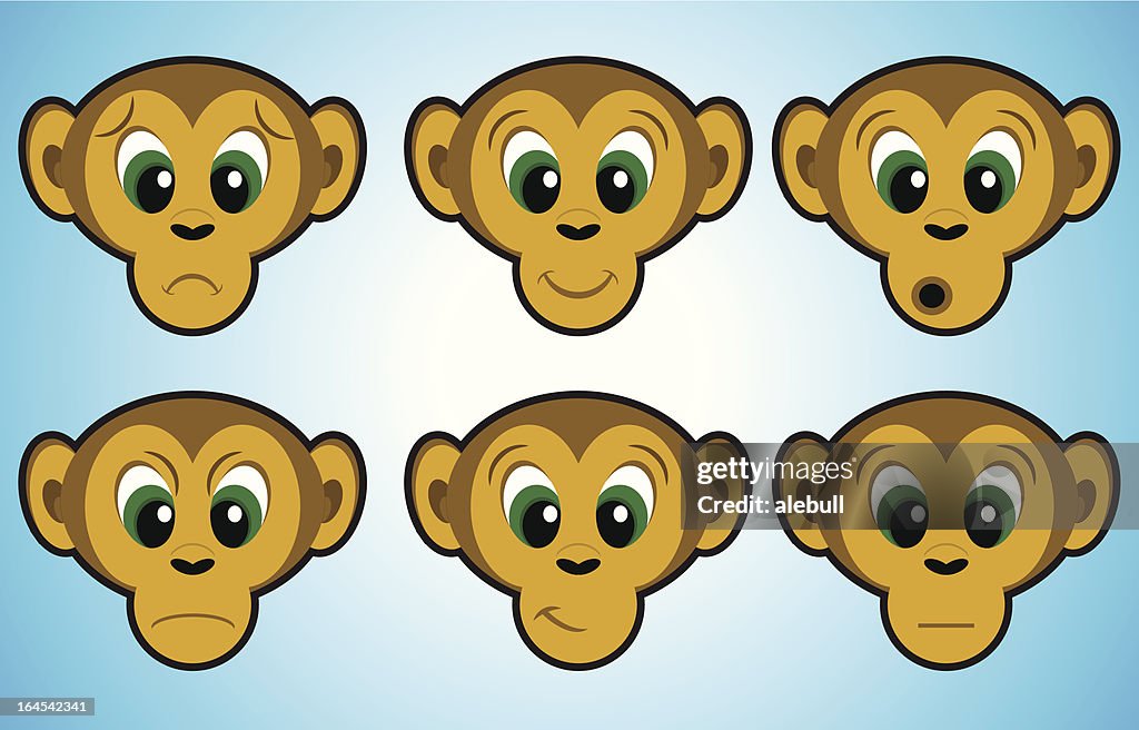 Monkey